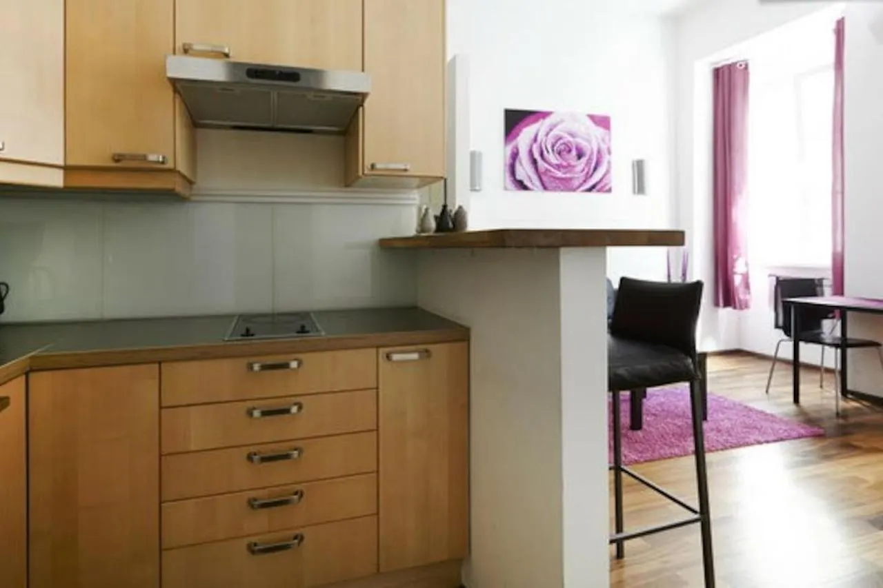Wunderschone Altbau Wohnung Josefstadt Vienna Apartment